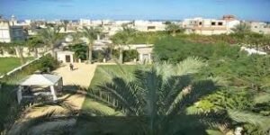 تصميم جامعة القاهرة الساحل الشمالي Cairo University North Coast